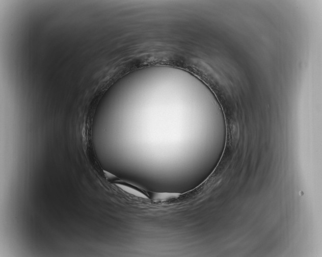 X0000099581250200805301553