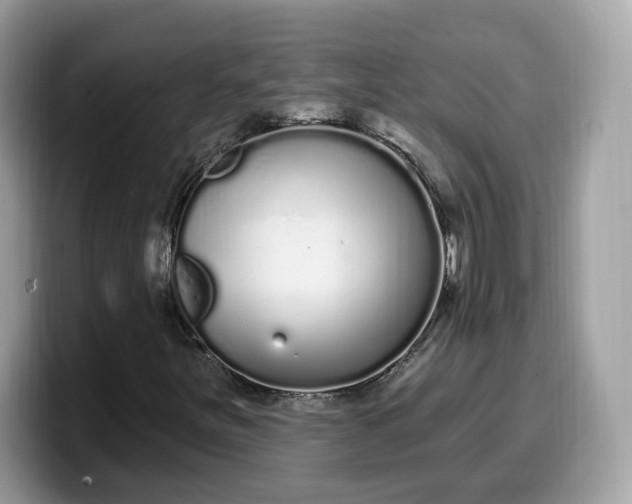 X0000099581251200805301553