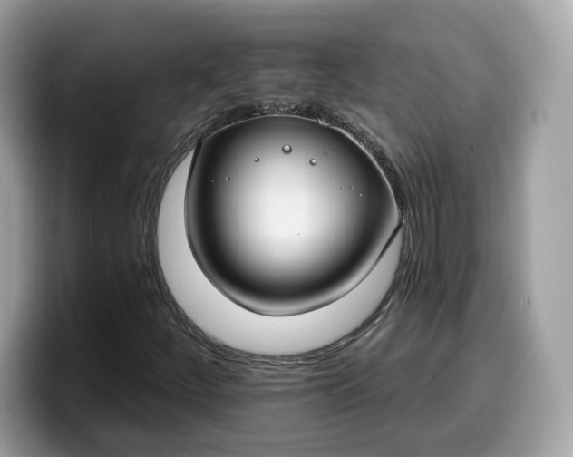 X0000099581252200805301553