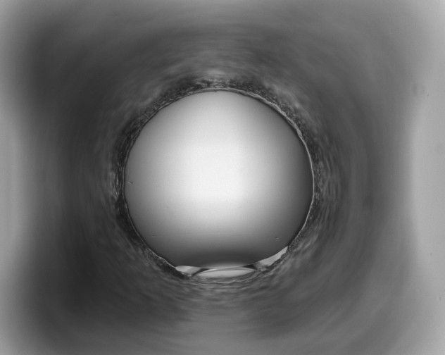 X0000099581253200805301553