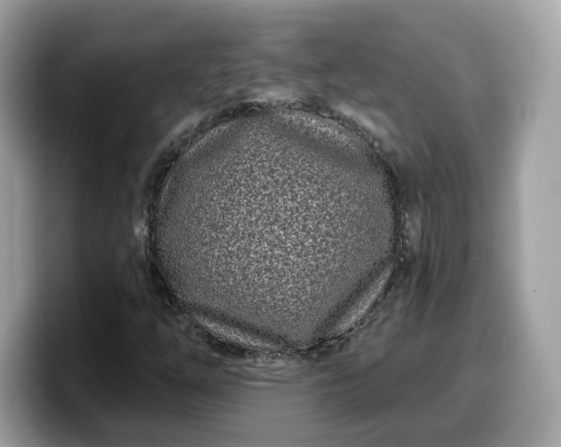 X0000099581254200805301553