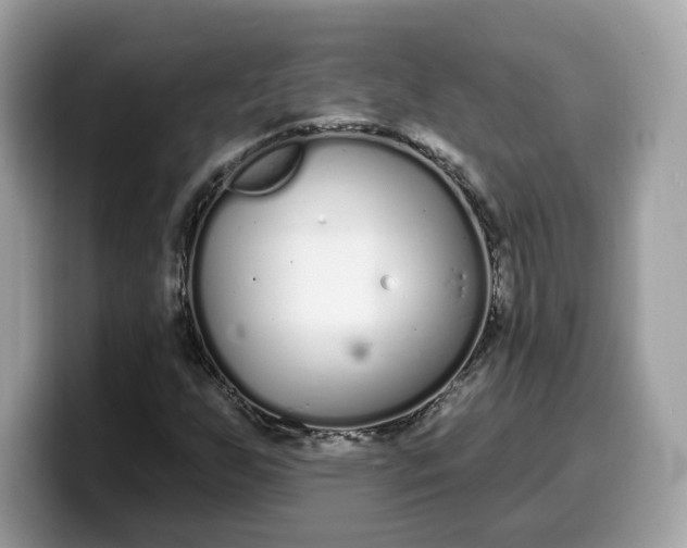 X0000099581255200805301553