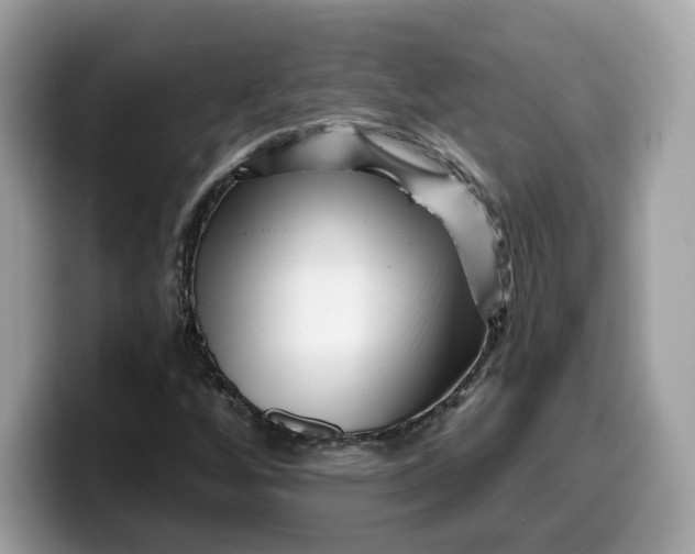 X0000099581256200805301553