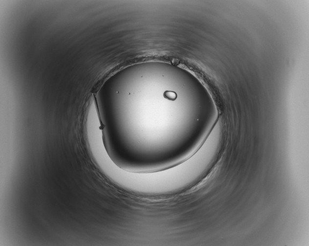 X0000099581257200805301553