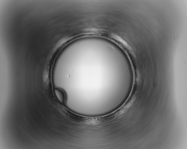 X0000099581259200805301553