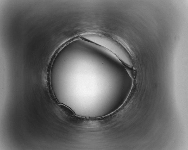 X0000099581260200805301553