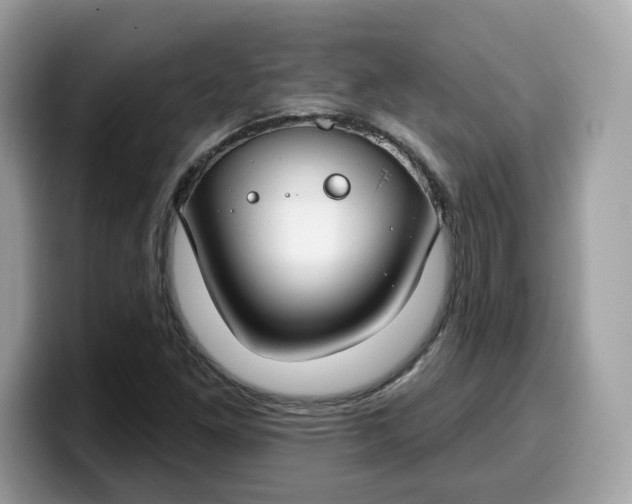 X0000099581261200805301553