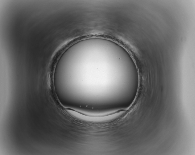 X0000099581262200805301553