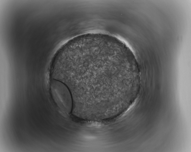 X0000099581263200805301553