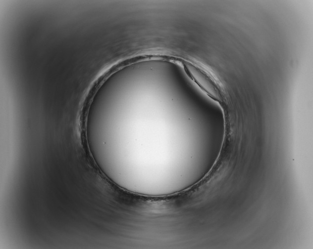 X0000099581264200805301553