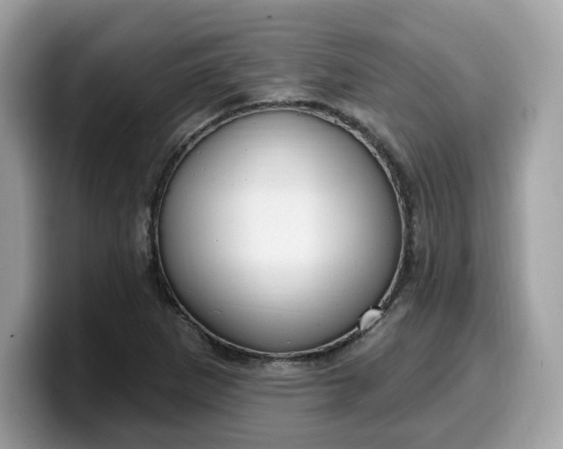 X0000099581265200805301553