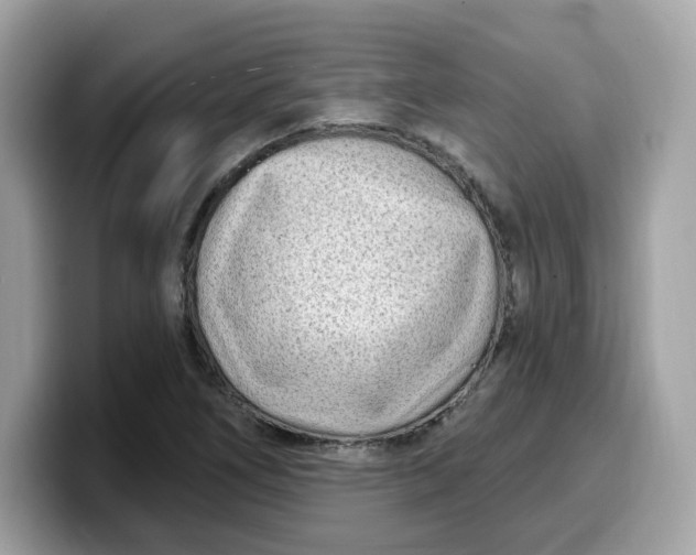 X0000099581266200805301553