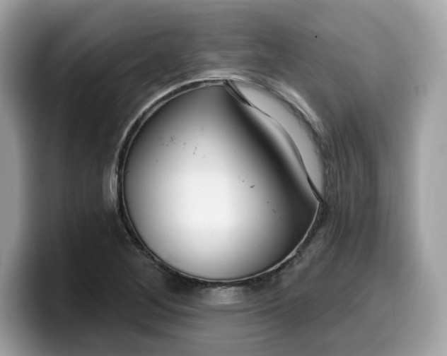 X0000099581268200805301553