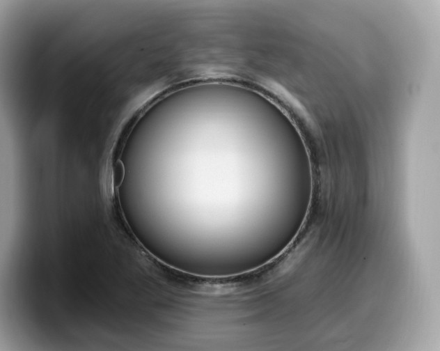 X0000099581269200805301553