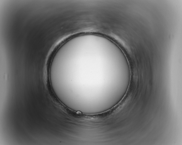 X0000099581270200805301553