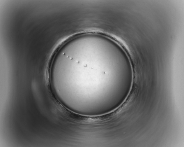 X0000099581271200805301553