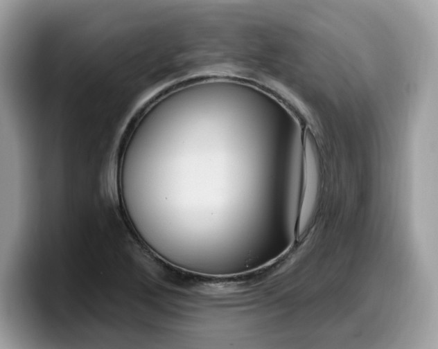 X0000099581272200805301553