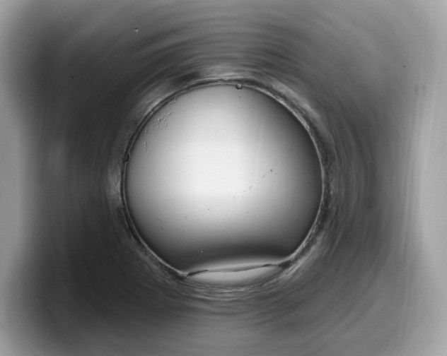 X0000099581273200805301553