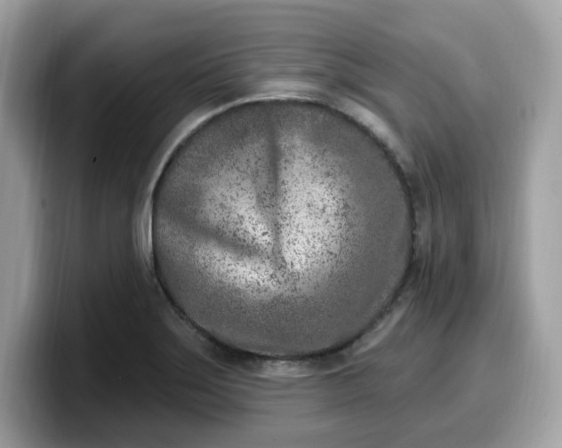 X0000099581275200805301552