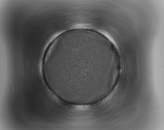 X0000099581277200805301552