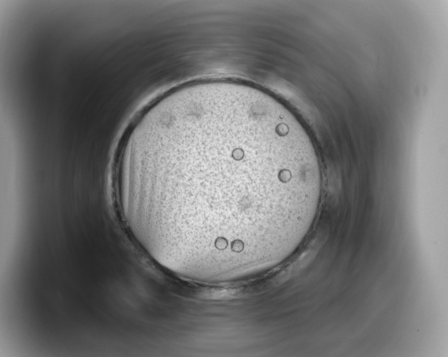 X0000099581278200805301552