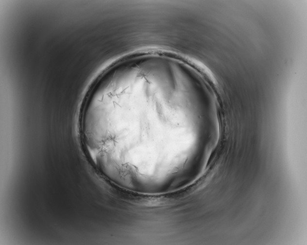 X0000099581279200805301552