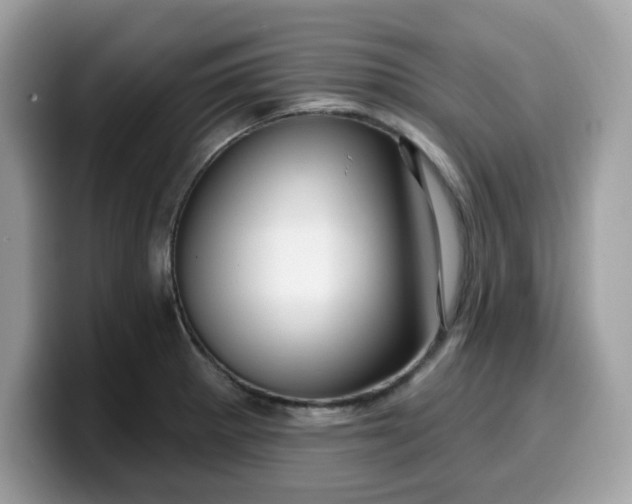 X0000099581281200805301552