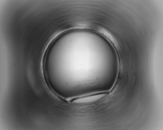 X0000099581283200805301552