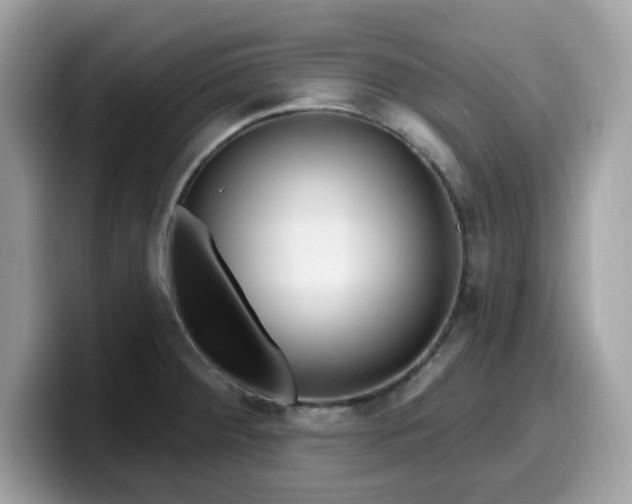 X0000099581284200805301552