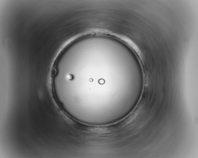 X0000099581287200805301552