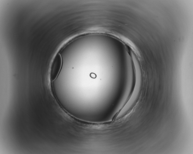 X0000099581288200805301552