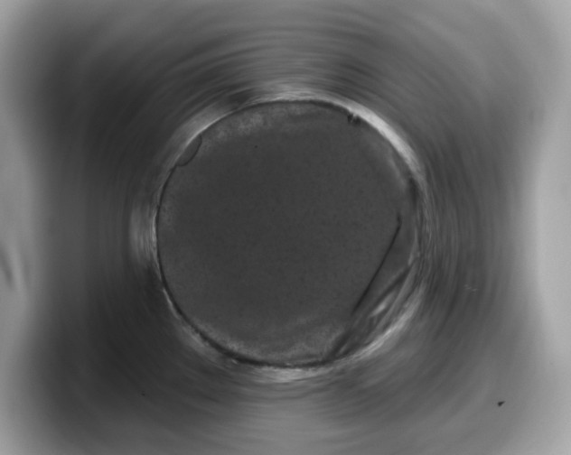 X0000099581289200805301552