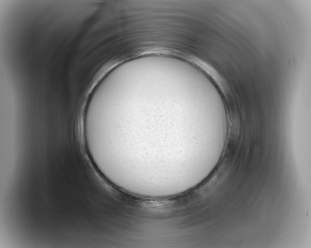 X0000099581290200805301552