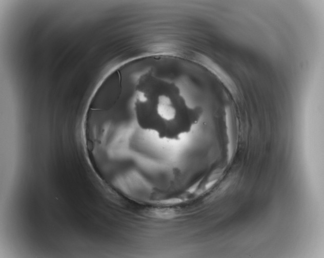 X0000099581291200805301552