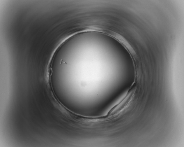 X0000099581292200805301552