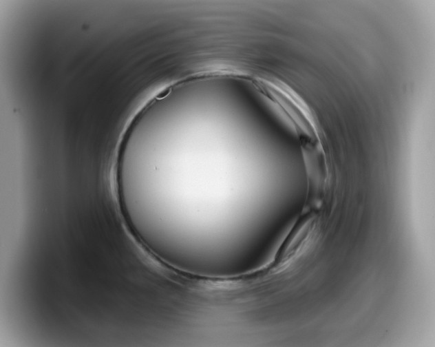 X0000099581293200805301552