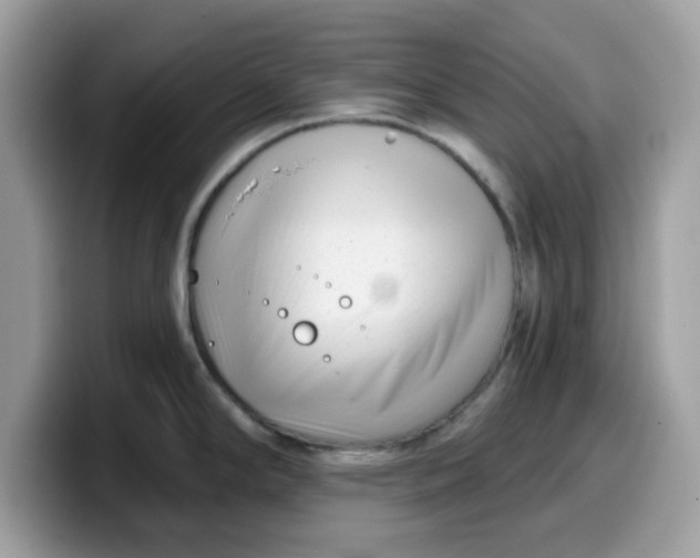 X0000099581294200805301552