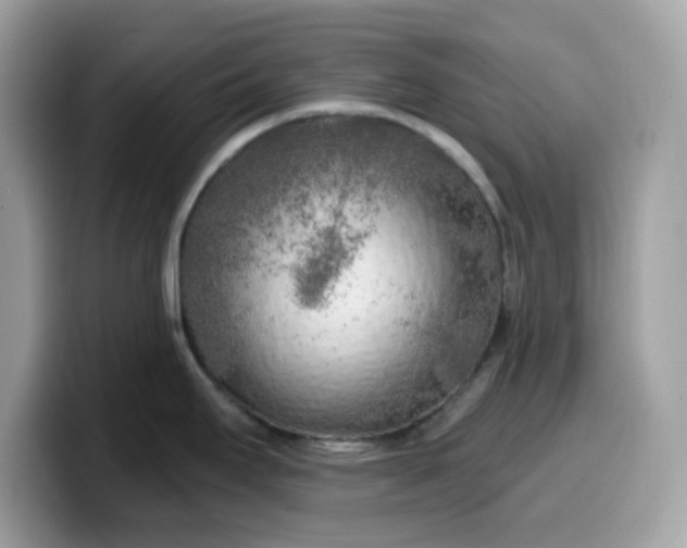 X0000099581295200805301552