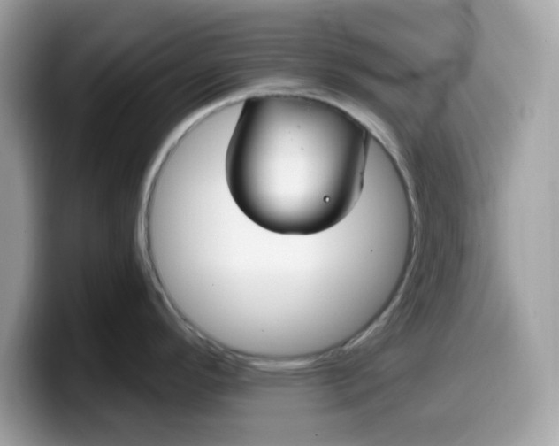 X0000099581296200805301552