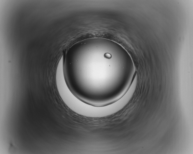 X0000099581298200805301552