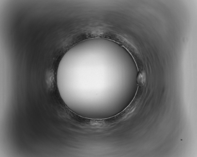 X0000099581299200805301552