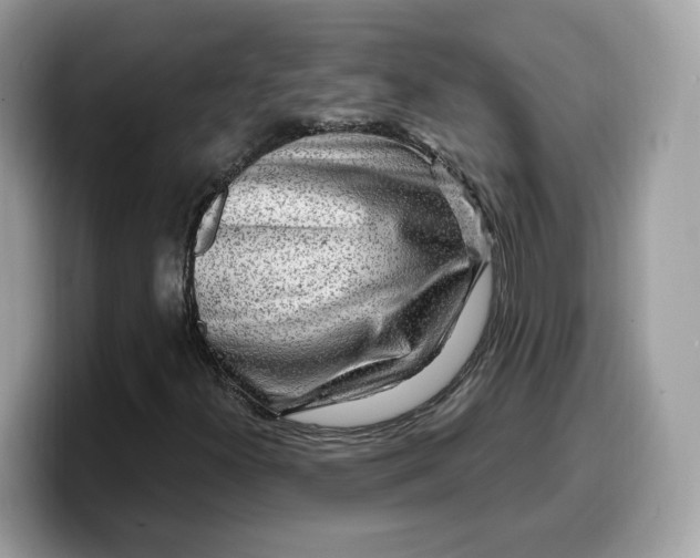 X0000099581300200805301552