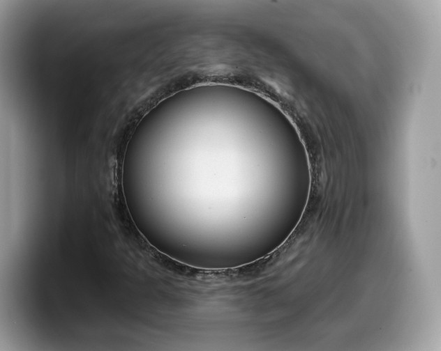 X0000099581301200805301552