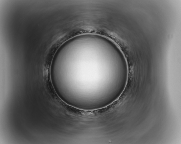 X0000099581302200805301552