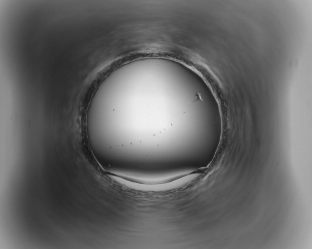 X0000099581304200805301552