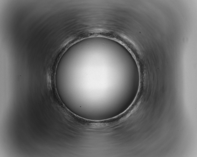 X0000099581305200805301552