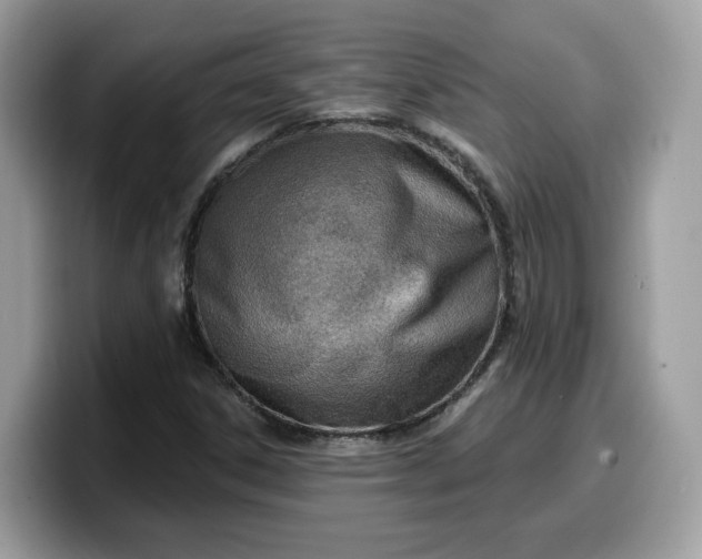 X0000099581306200805301552