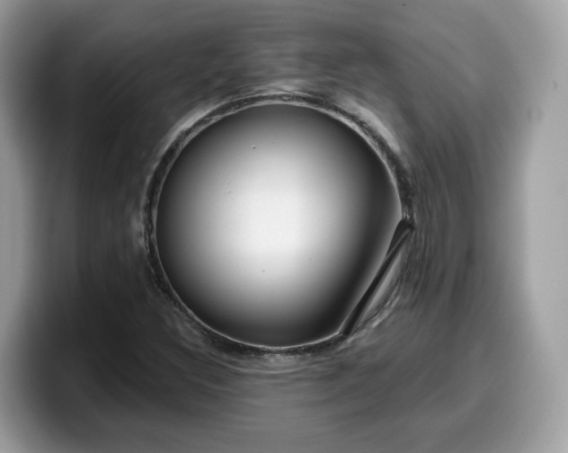 X0000099581308200805301552