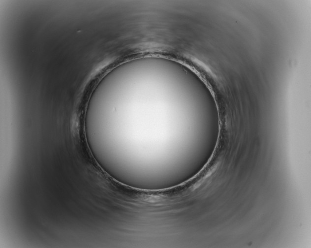 X0000099581309200805301552