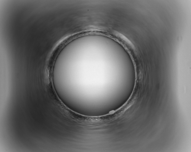 X0000099581310200805301552